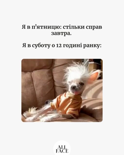 Суцільний real life, без жодних фільтрів 🫠

Де впізнали себе? 🫢