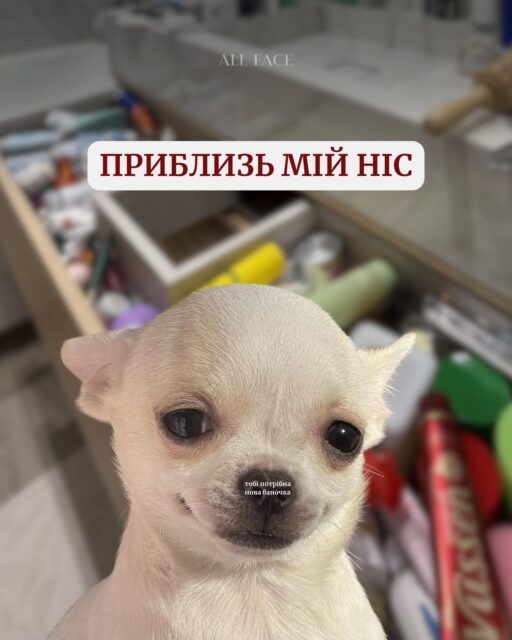 Якщо сьогодні ви шукали знак від Всесвіту — це він!🤫

Найкращі баночки у нас на сайті та в магазинах:
📍 Київ — вул. Шота Руставелі, 34
📍 Одеса — вул. Рішельєвська, 13