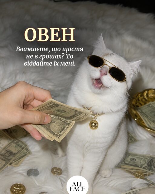 Ми не астрологи. Але щось нам підказує, що цей гороскоп точніший за всі попередні 🤫

Відправляй допис подрузі/другу і перевіряй, чи це правда 📩