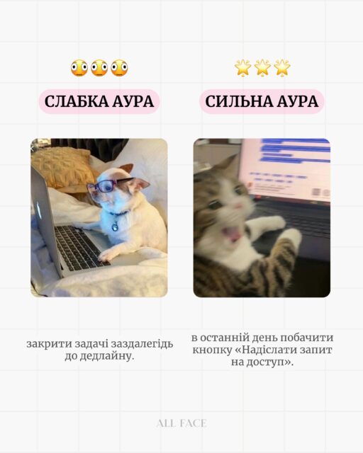 Слабка аура чи сильна? 🫠

Надішли цей пост подрузі, яка має таку ж сильну ауру, як і ти 👀