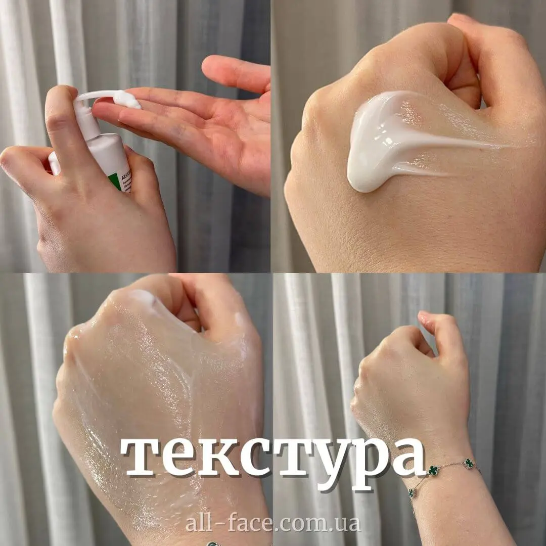 pic-15-2-6.jpg.webp